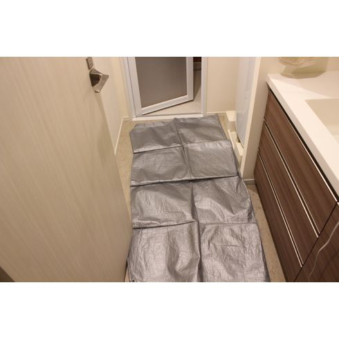養生