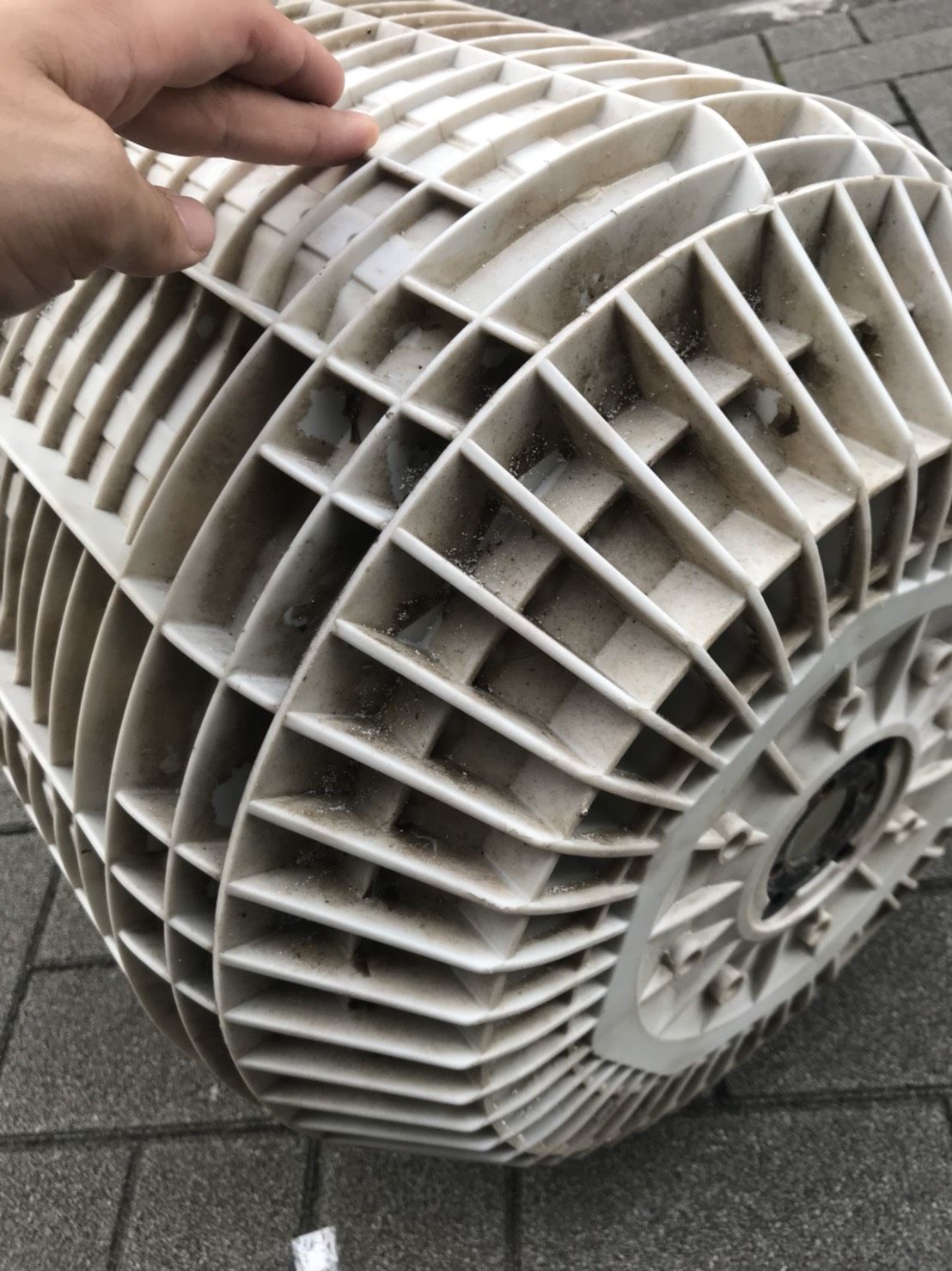 洗浄前
